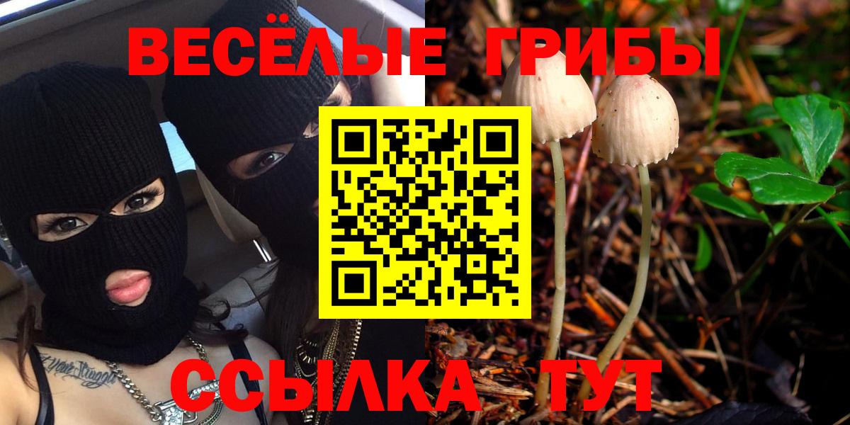Псилоцибиновые грибы Psilocybe Снежинск